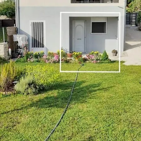 Lia's سكوتينا