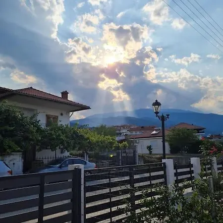 Lia's Skotina