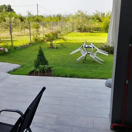 Lia's سكوتينا